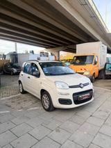 Fiat New Panda 1.2 8V LOUNGE - Fiat New Panda in München