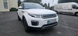 Andere RANGE ROVER - Andere mit Diesel-Antrieb: Schaltgetriebe