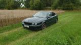 Jaguar X-Type V6 3.0 Executive  - Jaguar X-Type: 3.0