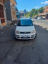 Fiat Panda 1.3 MJT 16V DPF Active - Fiat Panda Active mit Diesel-Antrieb