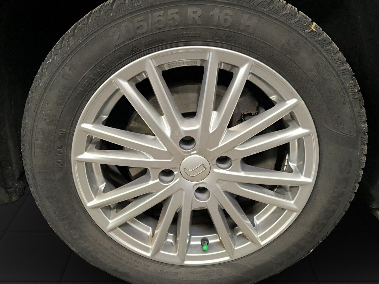 Fahrzeugabbildung Citroën C4 Cactus Shine Panoramadach Kamera uvm.