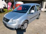 Volkswagen VW Caddy 2K Rollstuhlgerecht, BJ. 2008, 10... - Volkswagen Caddy aus 2008