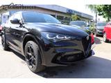 Alfa Romeo Stelvio Quadrifoglio Q4 2.9 V6 Bi-Turbo Panorama - Alfa Romeo Gebrauchtwagen in Berlin