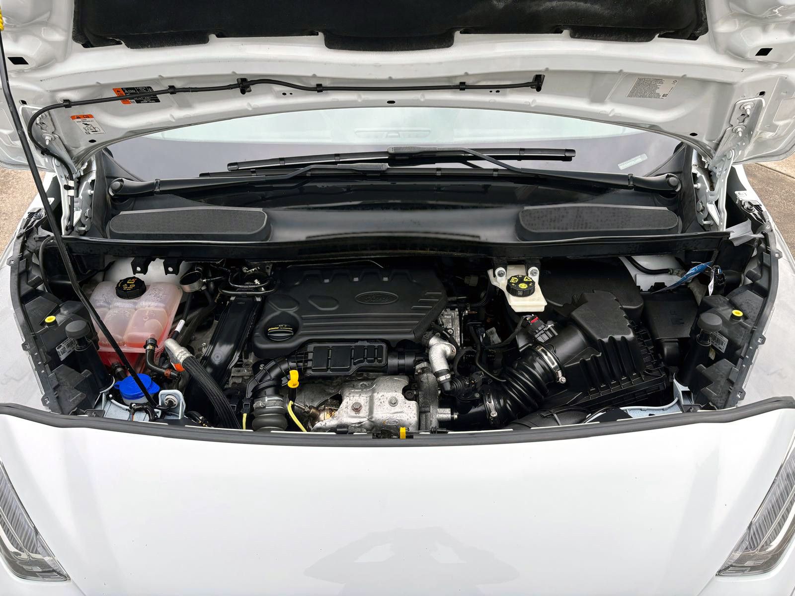 Fahrzeugabbildung Ford Transit Connect Kasten Trend Autom. SHZ KAM PDC