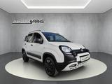 Fiat Panda Cross MY21 City Cross 4x4 0.9 TwinAir - Fiat Panda in Dresden