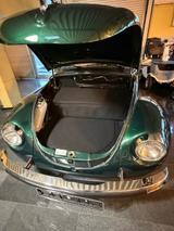 Volkswagen Käfer - Volkswagen Käfer: Grün