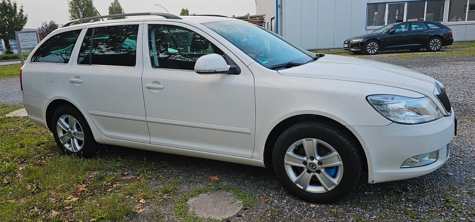 Skoda Octavia 2011 — вигляд ззаду