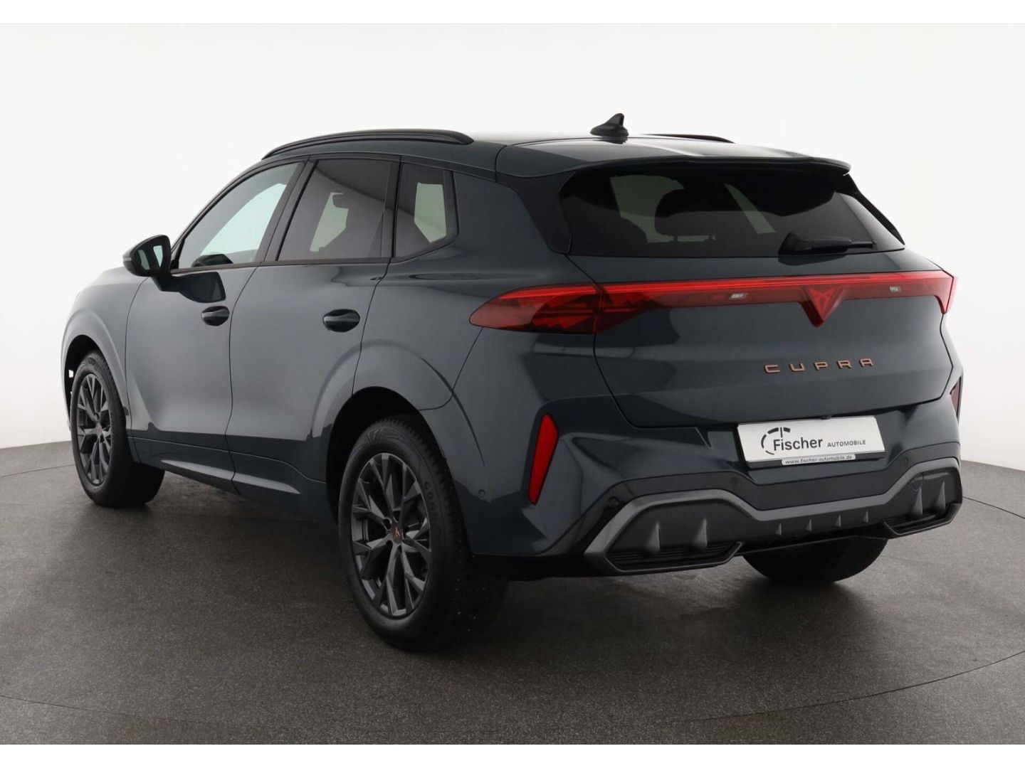 Cupra Terramar - Bild 4