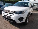 Land Rover Discovery Sport Pure - Land Rover Discovery in Dortmund