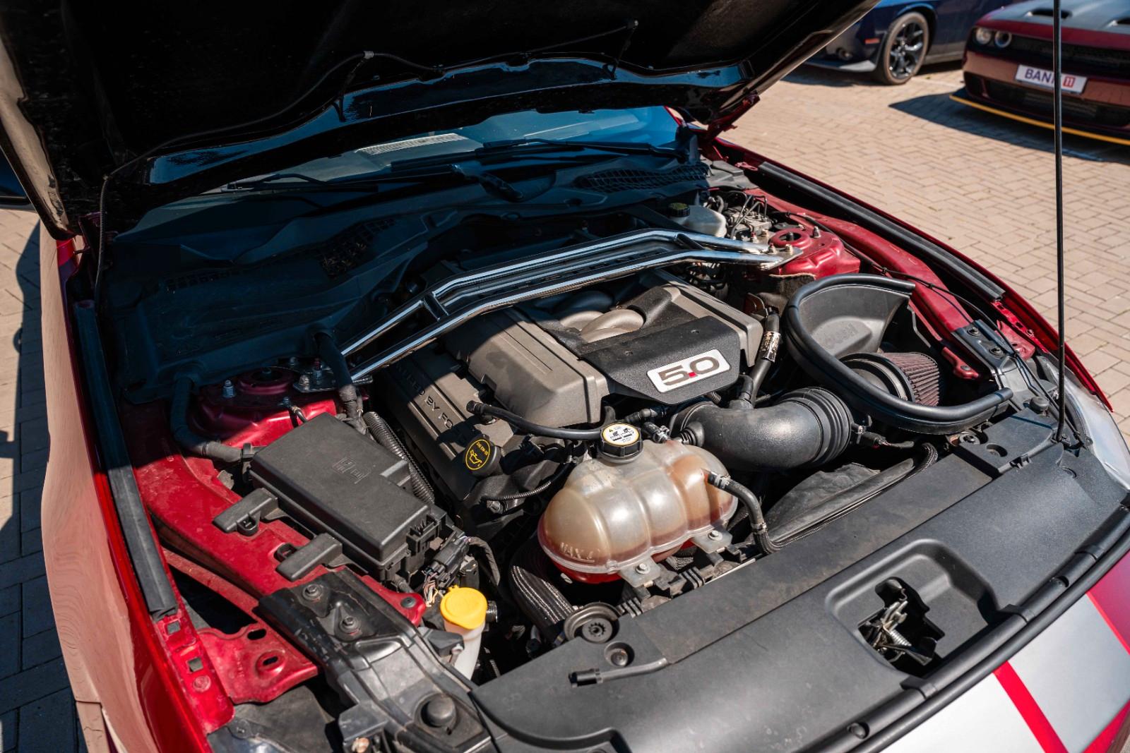 Ford Mustang GT 5,0 Gt 350 SHELBY PREMIUM VOLL