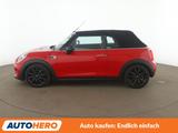 MINI Cooper Aut.*NAV*LED*TEMP*CAM*PDC*SHZ*ALU*KLIMA* - MINI: Rot, Cabrio