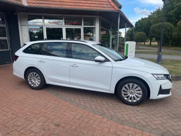 Skoda Octavia - 4