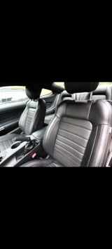 Ford Mustang 5.0 Ti-VCT V8 Bullitt Bullitt - Ford Mustang: Bullit