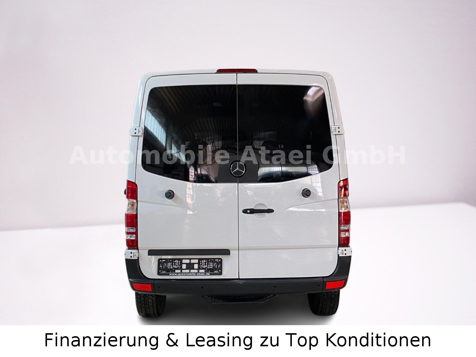 Fahrzeugabbildung Mercedes-Benz Sprinter 316 Behörde/ Camper 7-Sitze (0509)