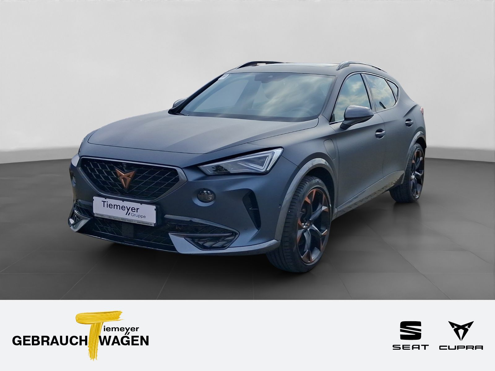 Cupra Formentor 1.4 eHybrid MATT PANO KAMERA LM19 AHK