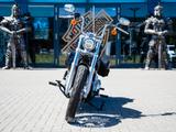 Harley-Davidson FXST Softail Standard SOFORT VERFÜGBAR - Offers
