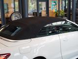 Mercedes-Benz E 300 Cabrio AMG Line Leder Ulme Burmester AHK - Mercedes-Benz E 300 mit Benzin-Antrieb