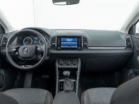 Skoda Karoq - Vorschau Bild 14