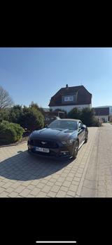 Ford Mustang 5.0 Ti-VCT V8 GT Auto GT - Ford Mustang mit Benzin-Antrieb: Cabrio, 5.0