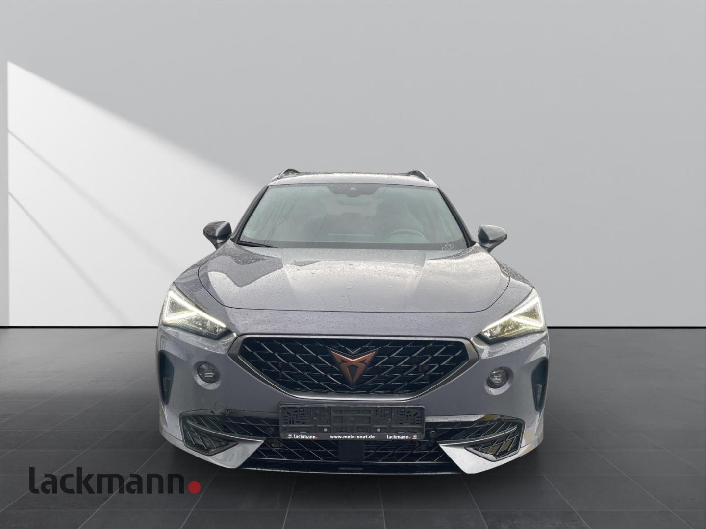 Cupra Formentor 2.0 VZ Pano*eHeck*Beats*Winter*XL*