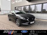 Mazda CX-30 SKYACTIV-G 2.0 150PS, SELECTION + - gebrauchte Mazda CX-30 aus dem Jahr 2024