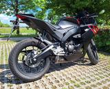Aprilia RS 125 Replica "TÜV neu" mit MIVV-Sportauspuff - APRILIA REPLICA