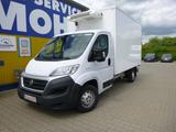 Fiat Ducato Kühlkoffer; 1.Hand; Klima: Sauberes Auto; - Offers matching your search criteria
