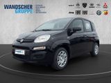 Fiat Panda MY25-Panda Hybrid 1.0 PDC KLIMA ZV - Fiat Panda Neuwagen mit Benzin-Antrieb