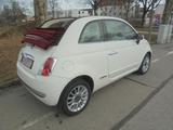Fiat 500 Cabrio Sondermodell"Lounge" orig.74000 KM ! - Fiat 500: Cabrio