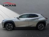 Lexus UX 250h*STYLE*FACELIFT* ALLW.*CARPLAY*GARANTIE - silberne Lexus UX