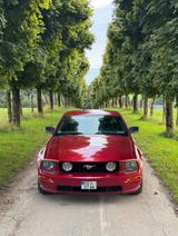 Ford Mustang GT 4.6l v8 Prince gasanlage  - Ford Mustang aus 2005: V6