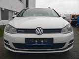 Volkswagen Golf VII Variant Trendline BlueMotion TGI - Volkswagen Golf: Bluemotion Variant