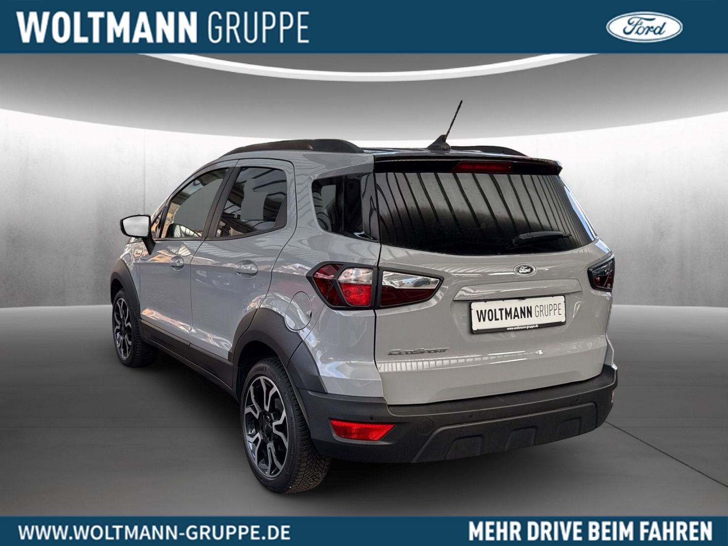 Fahrzeugabbildung Ford EcoSport Active Allwetter Winterpaket B&O NAVI D