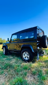 Land Rover Defender 90 Td4 Station Wagon SVX Limited Ed... - Land Rover Defender in Kassel