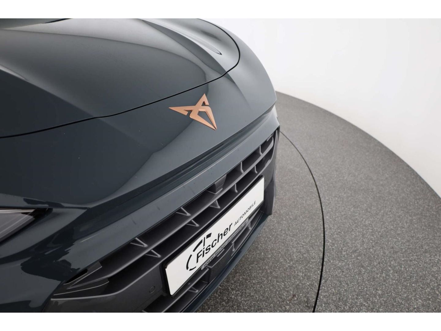 Cupra Terramar - Bild 28