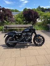 Harley-Davidson Sportster Roadster 1200 - HARLEY-DAVIDSON ROADSTER 1200
