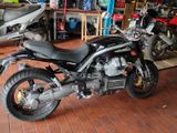 Moto Guzzi griso 1100cc - MOTO GUZZI 1100