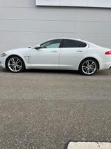 Jaguar XF Limousine 2.0 Merridian Surround 20Zoll Leder - Jaguar XF in Stuttgart