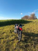 Aprilia RX 125 - APRILIA RX