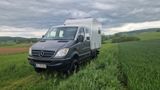 Mercedes-Benz Sprinter 4x4 Doka (ohne Kabine) - Mercedes-Benz Sprinter: Allradantrieb, Van