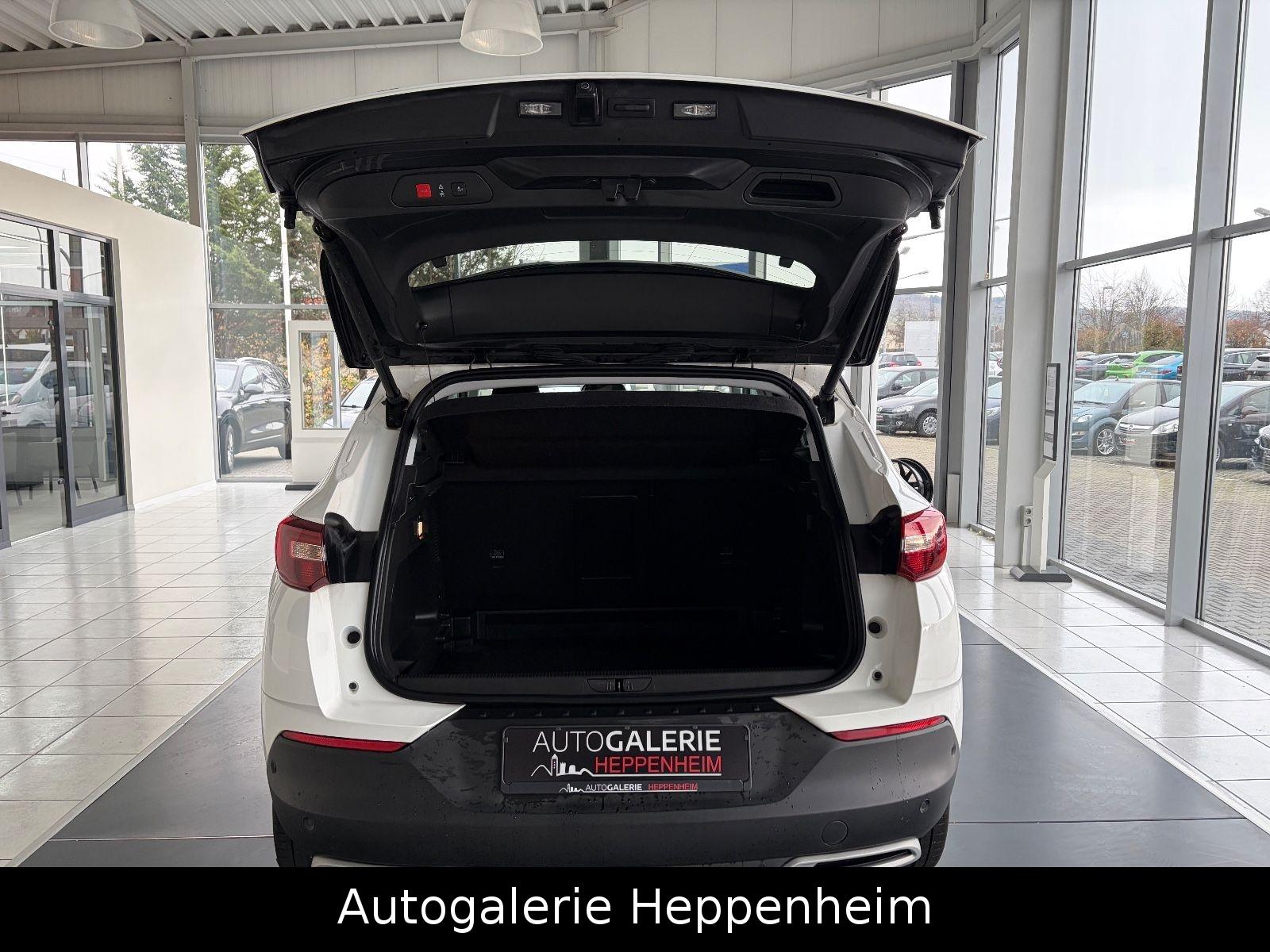 Opel Grandland (X)Innovation/AUT/NAV/SHZ/L-HEIZ/R-KAM