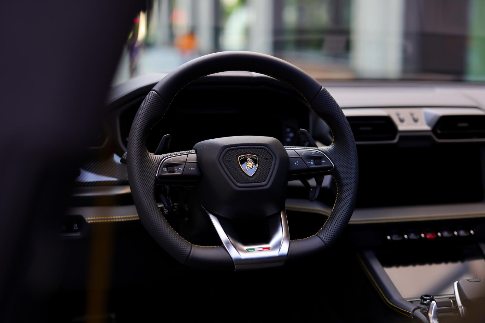 Lamborghini Urus 4.0 V8 SE | Panorama | Carbon | ANIMA