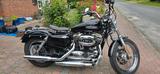 Harley-Davidson Sportster 1200 Low - Angebote entsprechen deinen Suchkriterien