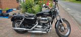 Harley-Davidson Sportster 1200 Low - Offers matching your search criteria