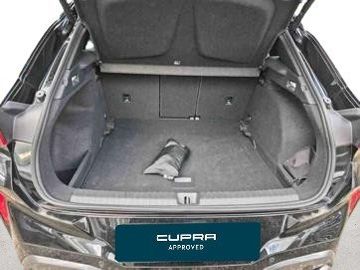 Cupra Terramar - 5