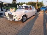 Jaguar Daimler - Jaguar aus 1967