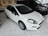 Fiat Punto 1.2 8V YOUNG Klima Zahnriemen neu - gebrauchte Fiat Punto aus dem Jahr 2015