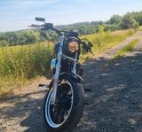 Harley-Davidson 883 Superlow -Zertifikat - Harley  Scheckheft 