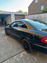 Mercedes-Benz Mercedes CLK 270 CDI | W209 | Avantgarde C... - Mercedes-Benz CLK 270: Coupe
