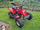 Explorer Stinger250  - EXPLORER QUAD